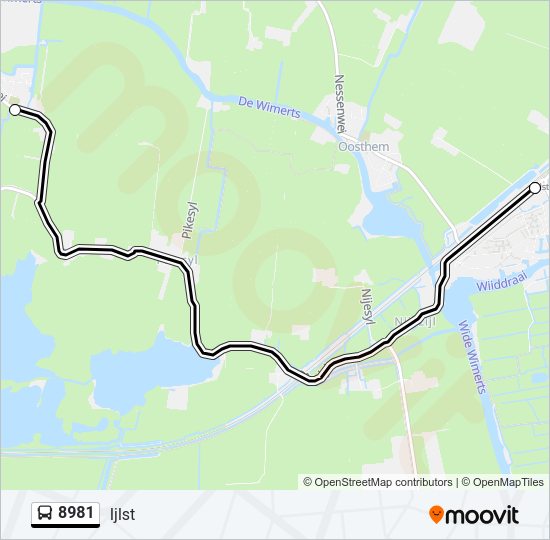 8981 Bus Line Map