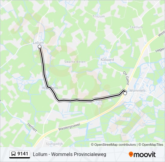 9141 Bus Line Map