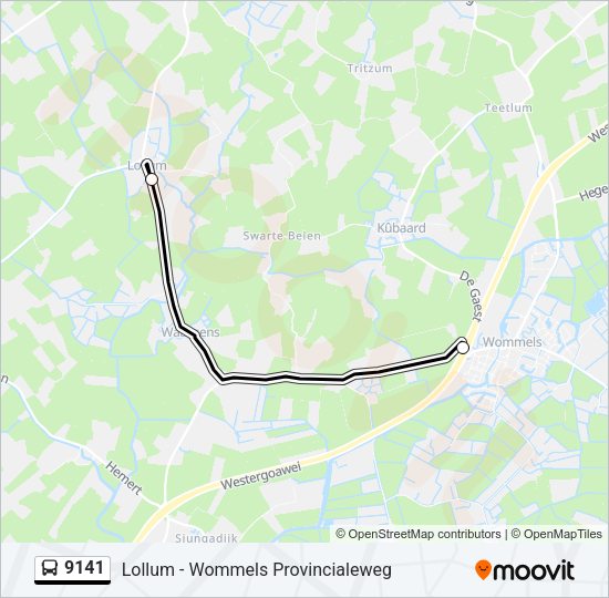 9141 Bus Line Map