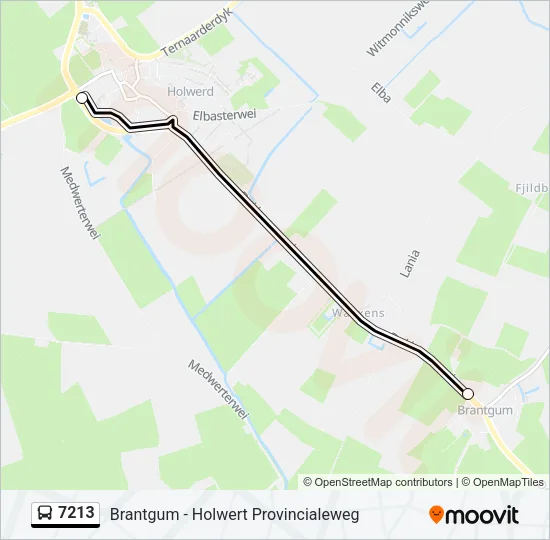7213 Bus Line Map