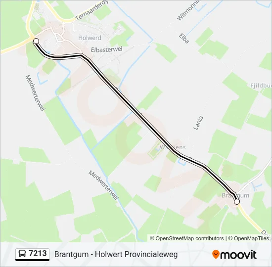 7213 Bus Line Map
