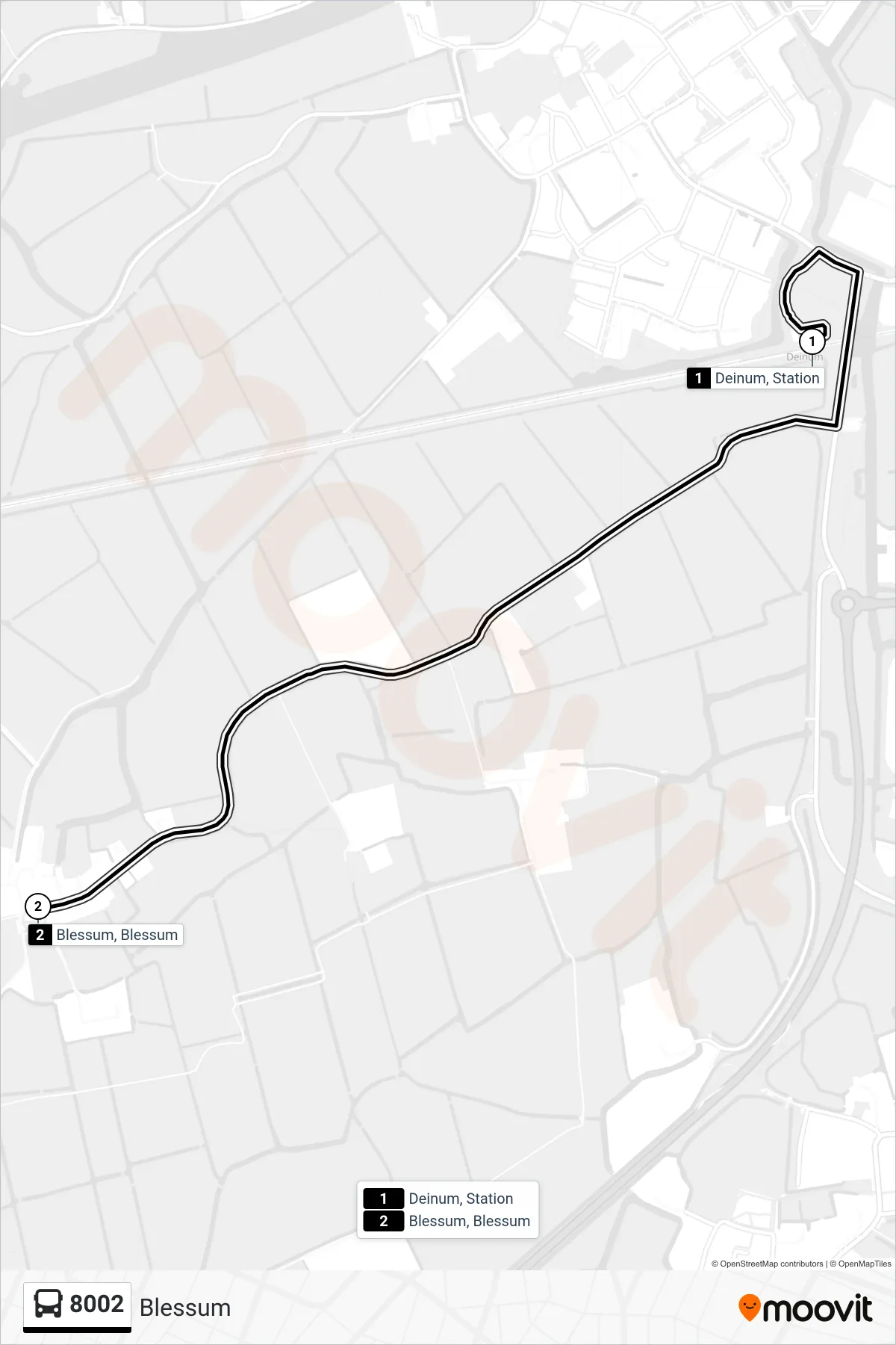 Lijn 8002 (bus, Blessum): route en haltes op de kaart