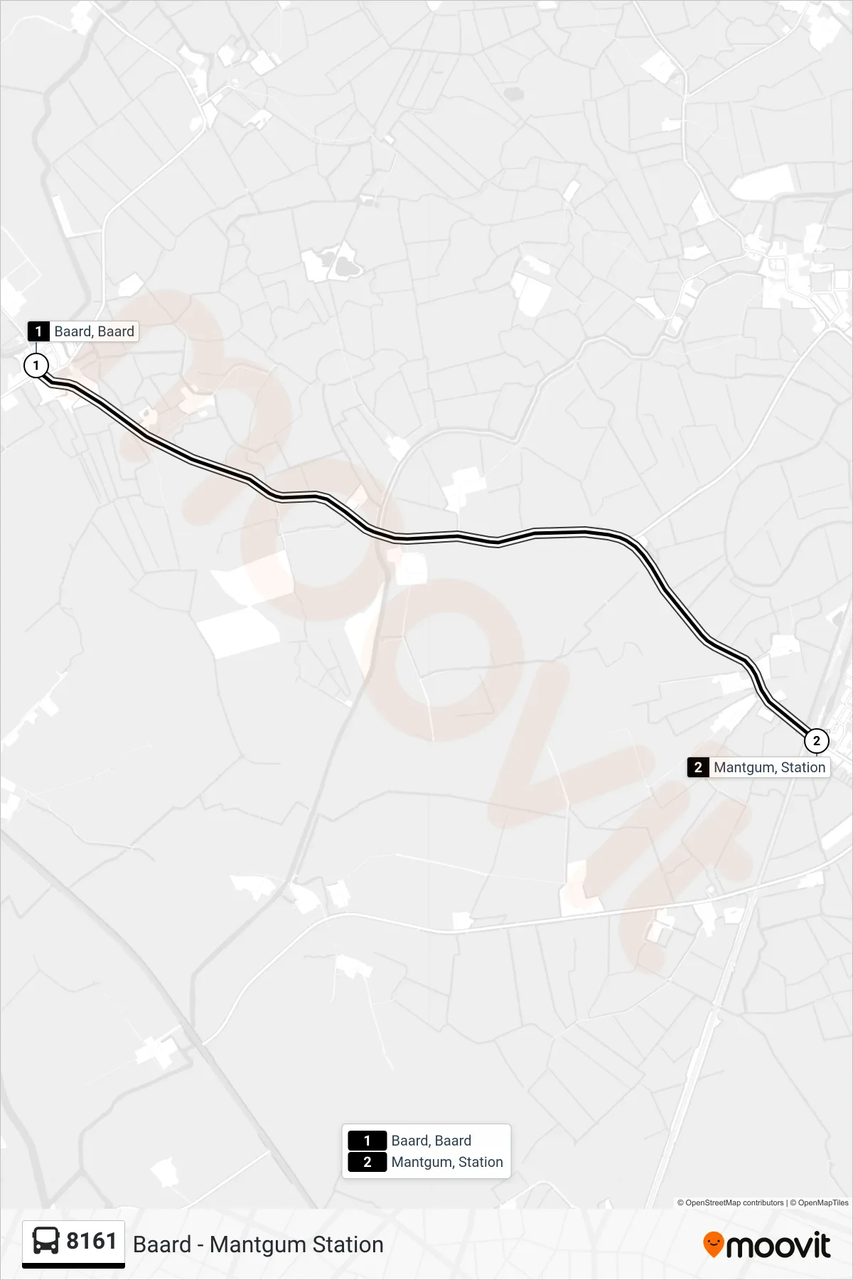 Lijn 8161 (bus, Mantgum): route en haltes op de kaart