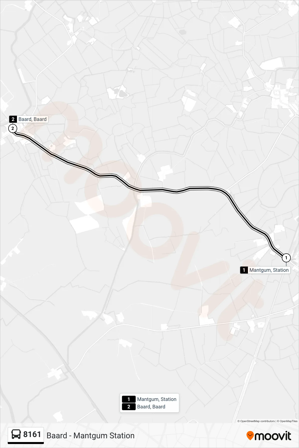 Lijn 8161 (bus, Baard): route en haltes op de kaart