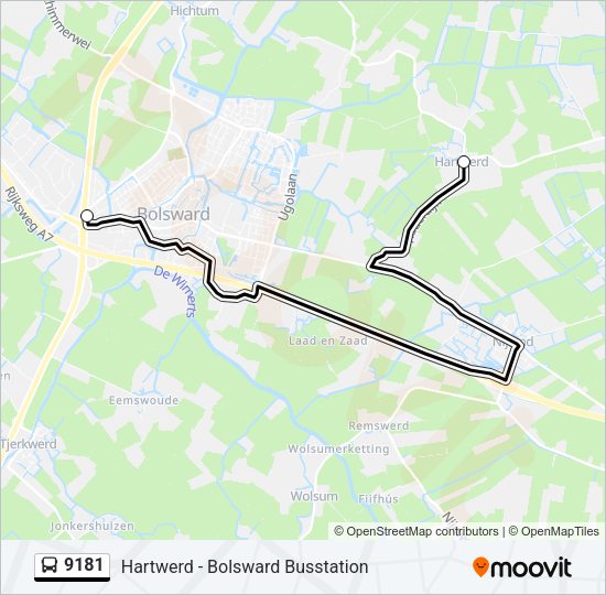 9181 Bus Line Map
