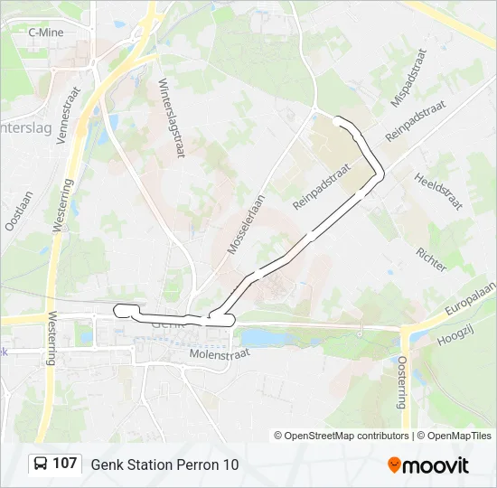 107 Bus Line Map