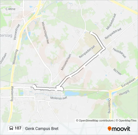 107 Bus Line Map