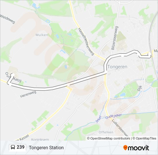239 Bus Line Map