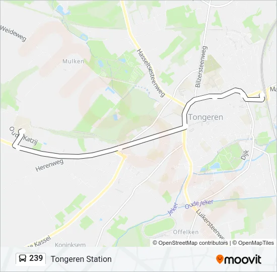 239 Bus Line Map