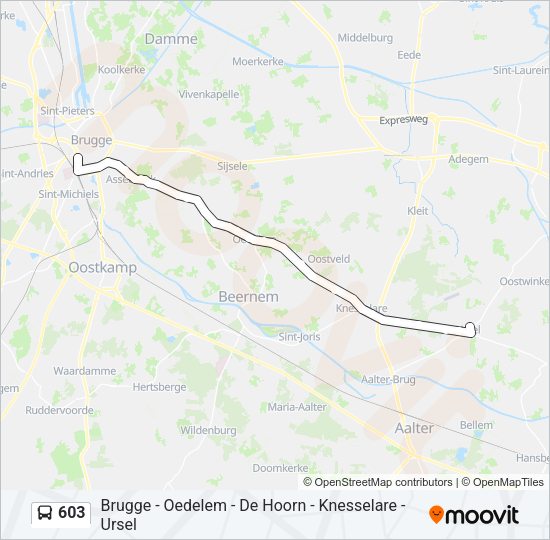 603 Bus Line Map