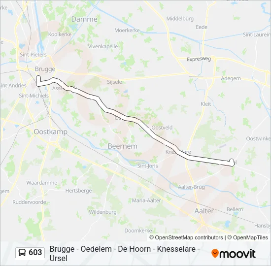 603 Bus Line Map