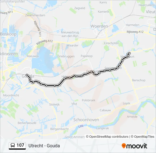 107 Bus Line Map