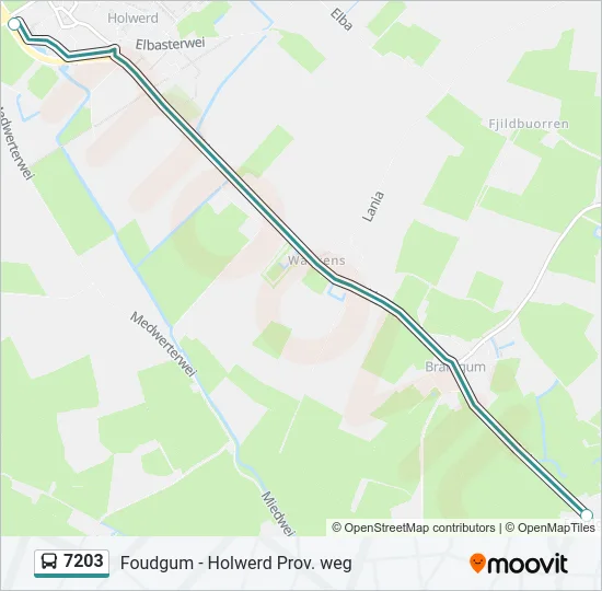 7203 Bus Line Map