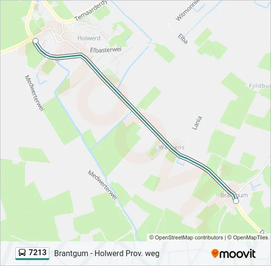 7213 Bus Line Map