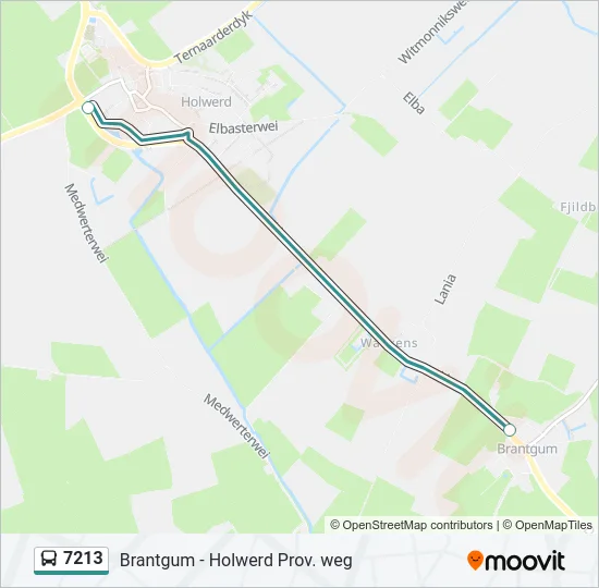 7213 Bus Line Map