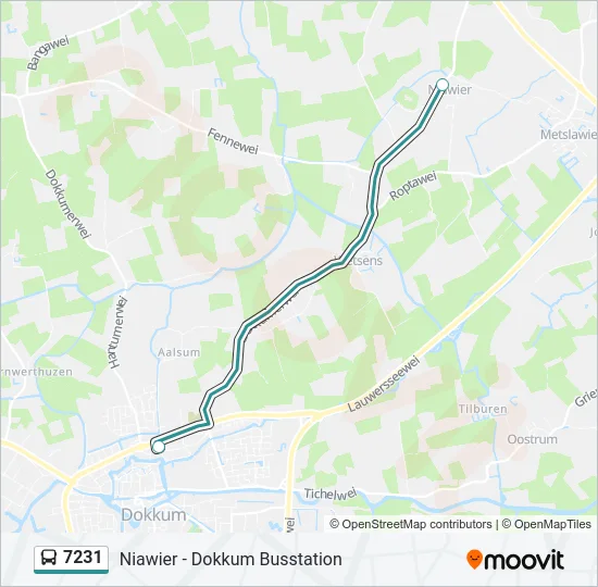 7231 Bus Line Map