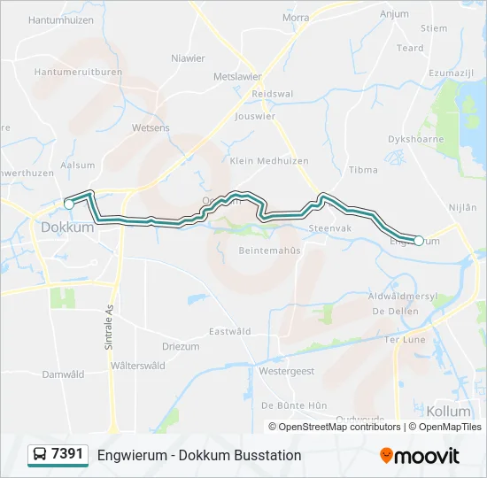 7391 Bus Line Map
