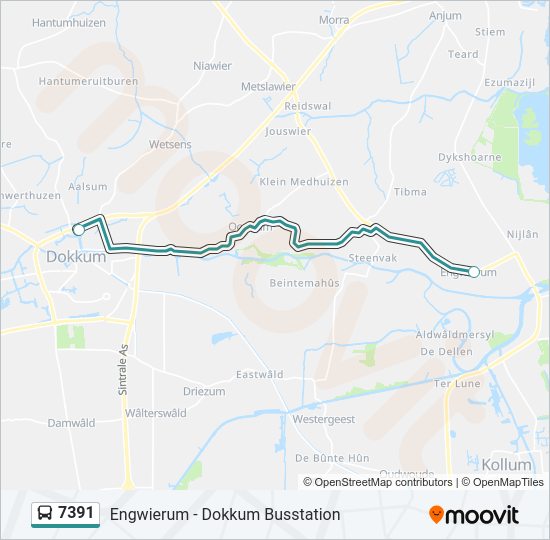 7391 Bus Line Map