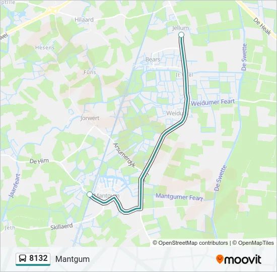 8132 Bus Line Map
