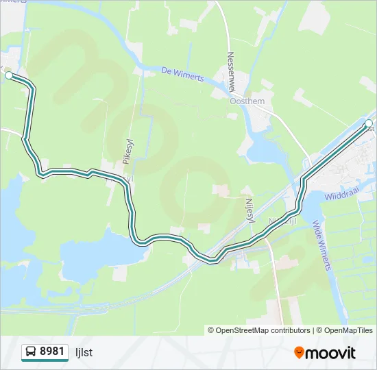 8981 Bus Line Map