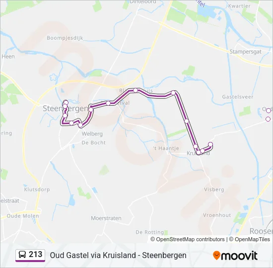 213 Bus Line Map