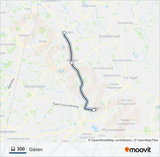 300 Bus Line Map