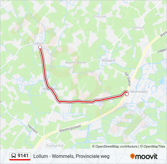 9141 Bus Line Map