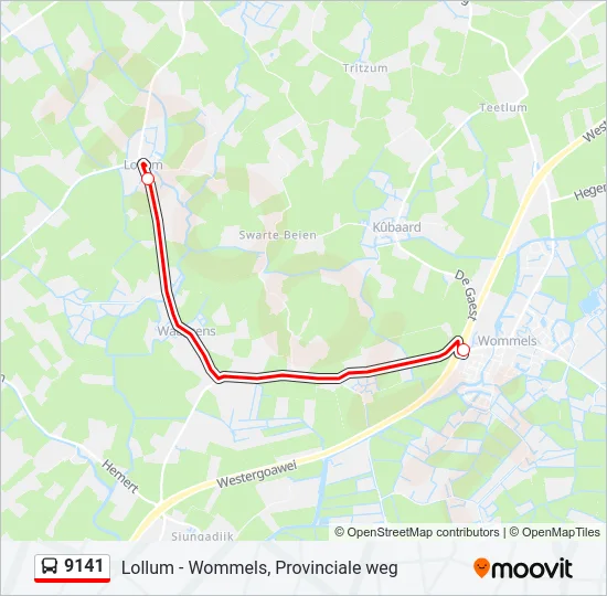 9141 Bus Line Map