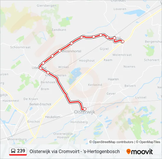 239 Bus Line Map