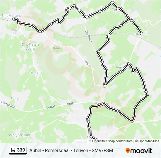339 Bus Line Map