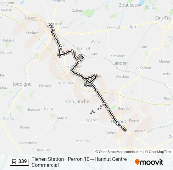 339 Bus Line Map