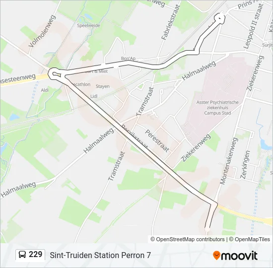 229 Bus Line Map