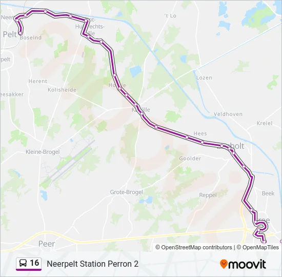 16 Bus Line Map