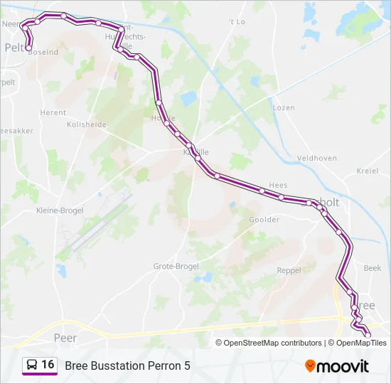 16 Bus Line Map