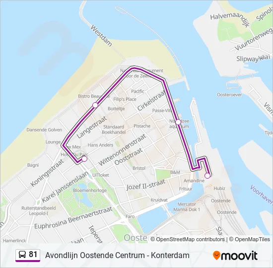 81 Bus Line Map