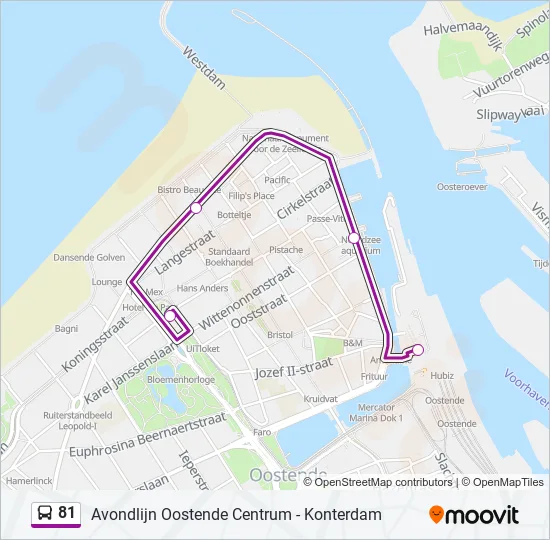 81 Bus Line Map