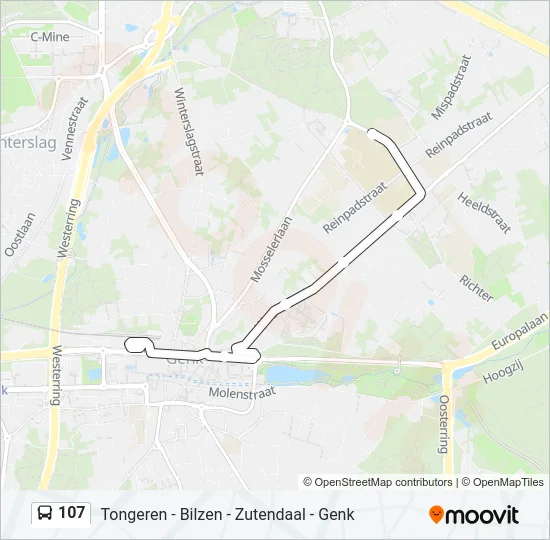 107 Bus Line Map