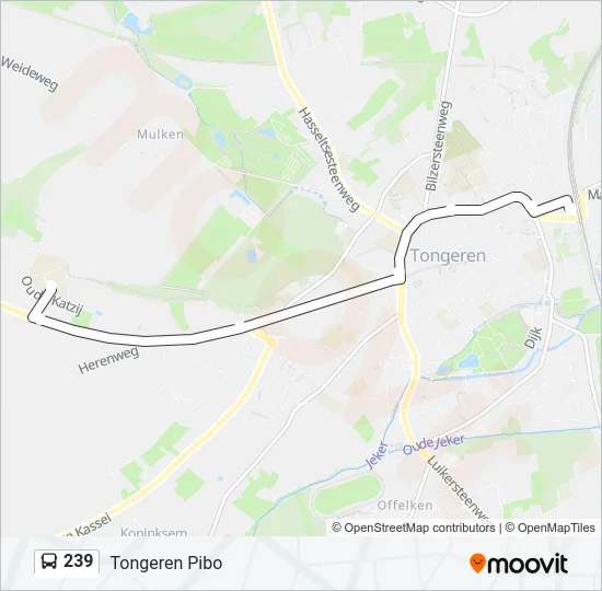 239 Bus Line Map