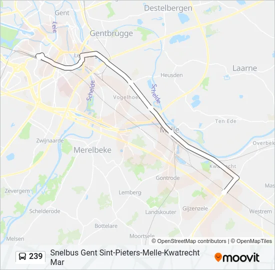 239 Bus Line Map
