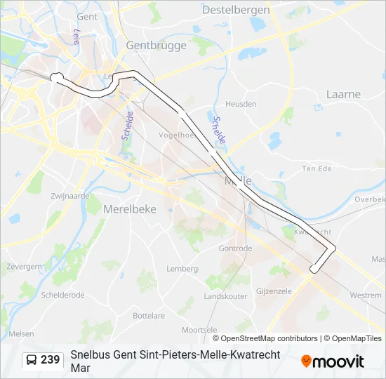 239 Bus Line Map