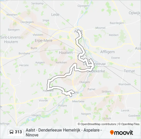 313 Bus Line Map