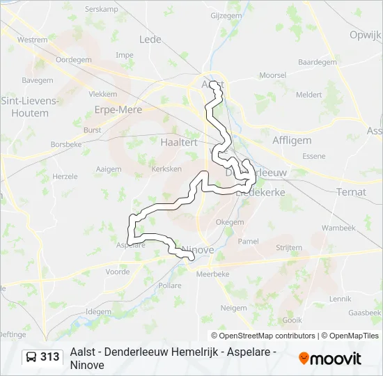 313 Bus Line Map