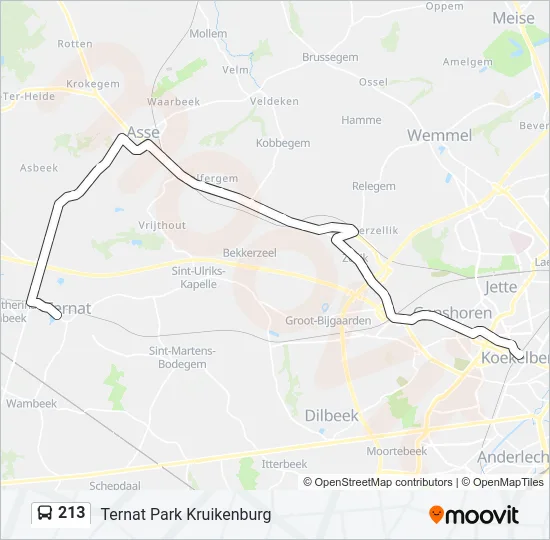 213 Bus Line Map
