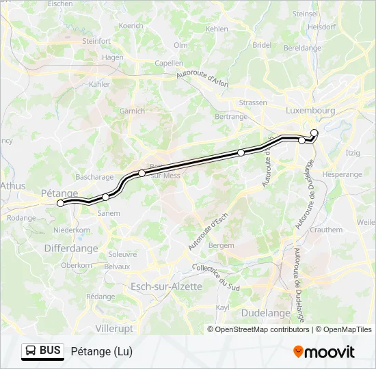 BUS Line Map