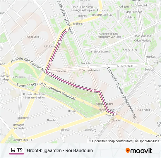 T9 Bus Line Map