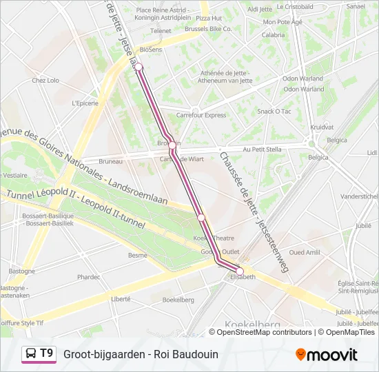 T9 Bus Line Map