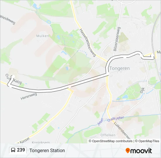239 Bus Line Map