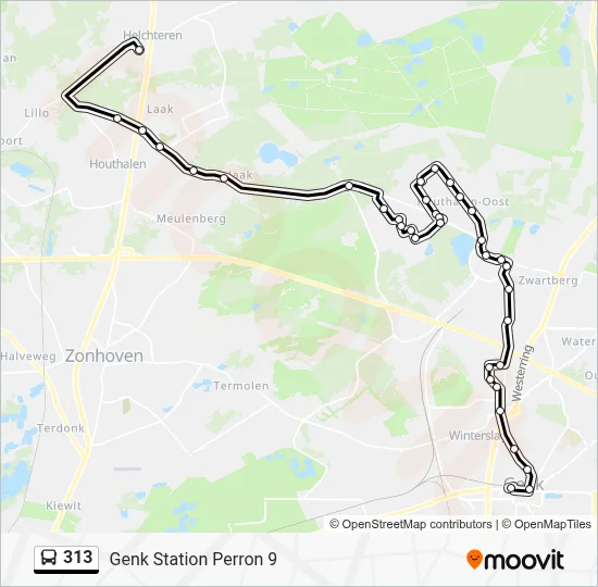 313 Route: Schedules, Stops & Maps - Genk Station Platform 9 (Updated)