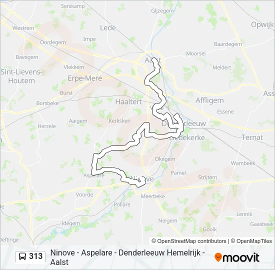 313 Bus Line Map