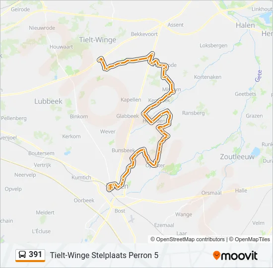 391 Bus Line Map